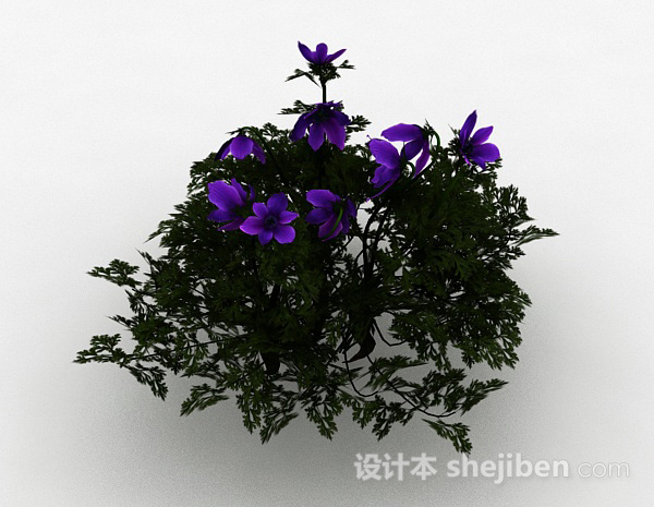 免费紫色花朵观赏型花卉3d模型下载