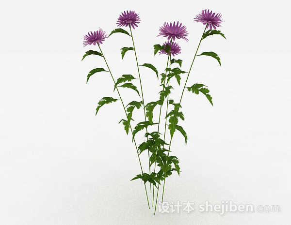 设计本紫色装饰花卉3d模型下载