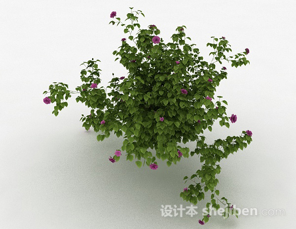 设计本室外紫色花卉植物3d模型下载