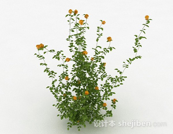设计本黄色花卉植物3d模型下载
