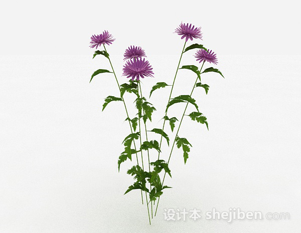 紫色装饰花卉3d模型下载