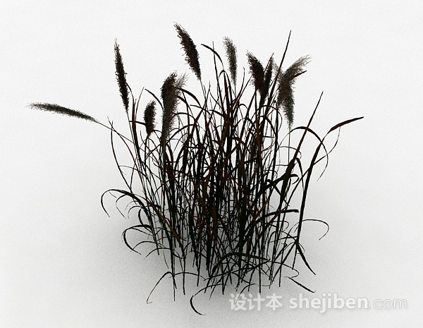 其它绿色茅草植物3d模型下载