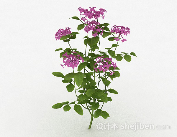 紫色花卉装饰植物3d模型下载