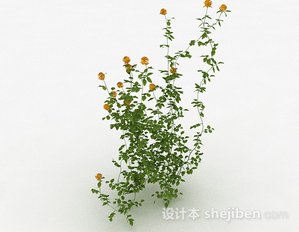设计本室外黄色花卉植物3d模型下载