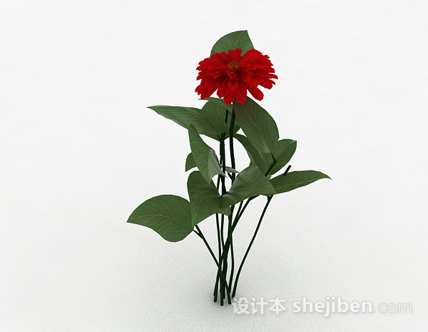 免费红色室外花卉植物3d模型下载