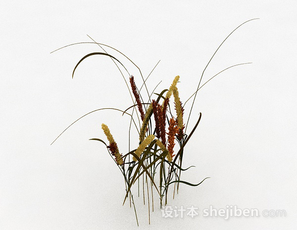 免费棕色茅草植物3d模型下载