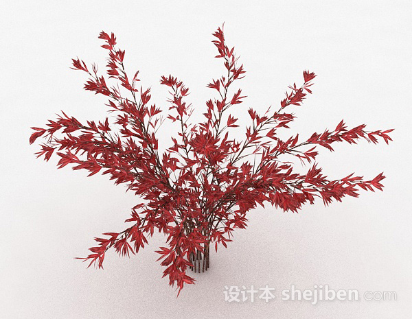 免费红色树叶观赏型植物3d模型下载