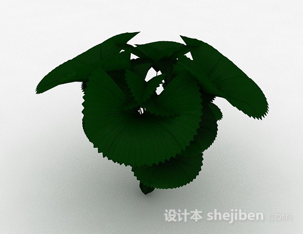 粽叶植物3d模型下载