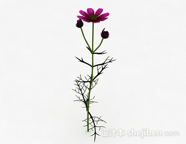 荆棘类紫色花朵3d模型下载