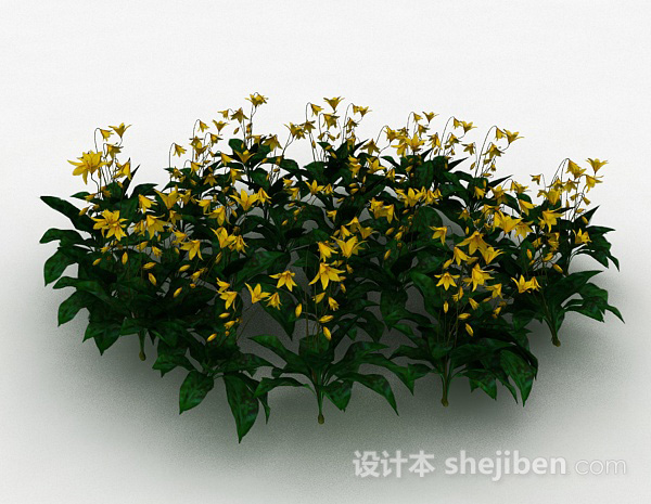 黄花观赏植物3d模型下载