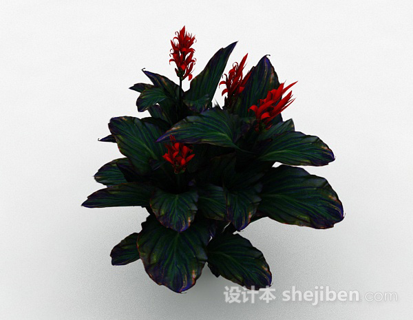 红花绿叶观赏型花卉3d模型下载