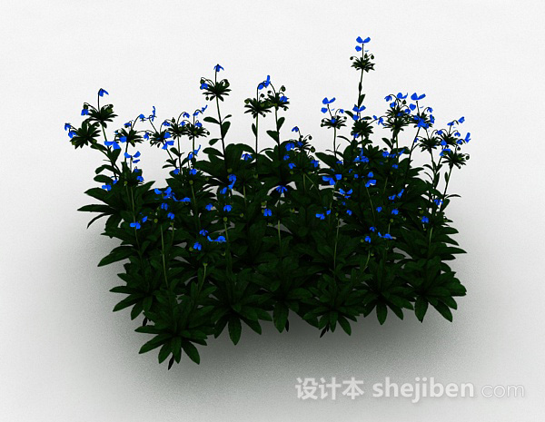 蓝色小花室外花丛3d模型下载