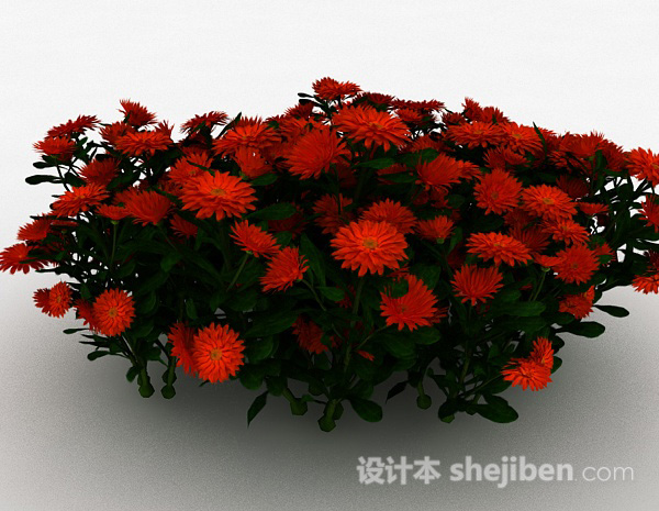 设计本红色雏菊观赏花卉3d模型下载