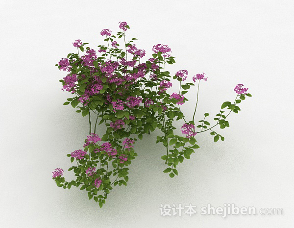 其它室外紫色装饰花卉3d模型下载