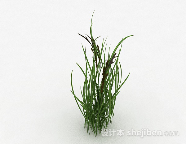 其它草丛3d模型下载