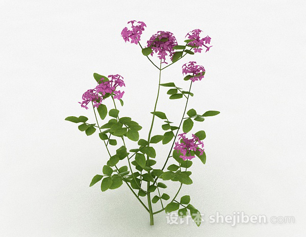 紫色户外花卉植物3d模型下载
