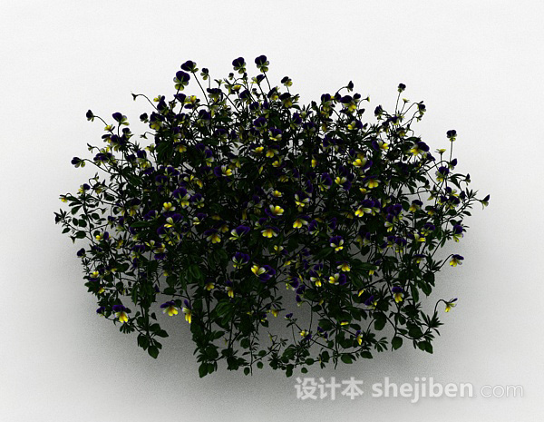 免费黄紫双色小花观赏花卉3d模型下载