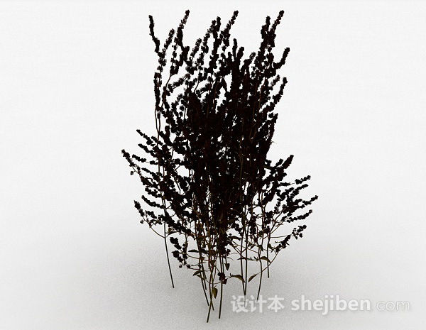设计本室外黑色植物3d模型下载