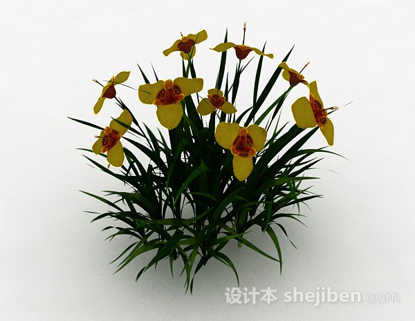 设计本黄色花朵观赏花卉3d模型下载