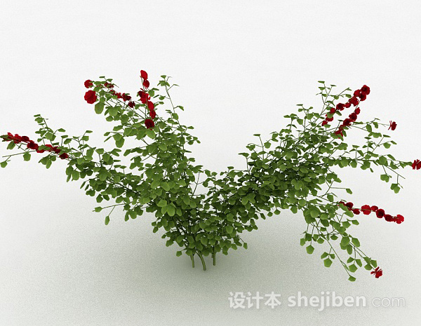 设计本室外植物3d模型下载