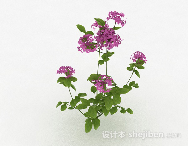 免费紫色户外花卉植物3d模型下载