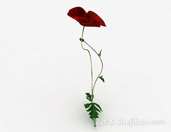 设计本红色花卉植物3d模型下载