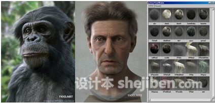 Shave And A Haircut For Maya(头发毛皮插件) v9.5 v8 win64