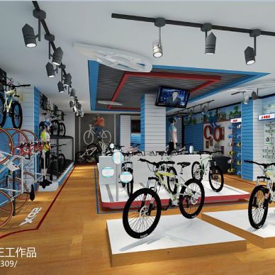 中国驰名商标喜德盛自行车专卖店_939720