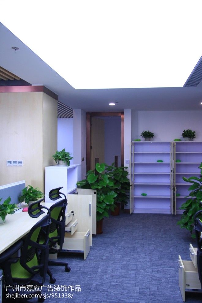现代办公室多样化绿色植物展示