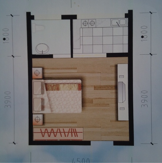 30平米的房子怎么设计？可以隔出卧室吗？