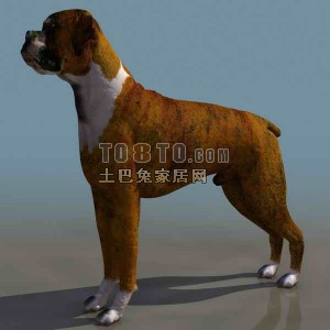小狗-动物3D模型素材2