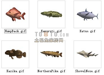 鱼3d模型下载 