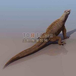 蜥蜴-动物素材3d模型下载