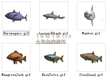 动物3D模型-鱼3D模型2-30套