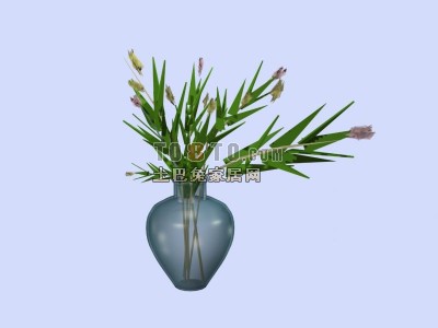 植物3D模型(20080525更新)29