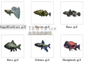 动物-鱼2-30套3d模型下载