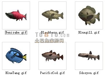 动物3D模型-鱼3D模型1-30套