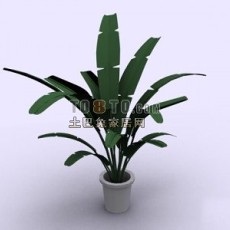 植物(20080525更新)373d模型下载