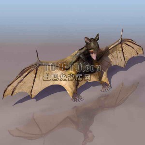 蝙蝠-动物素材23d模型下载