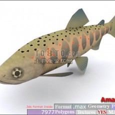 鱼3d模型下载