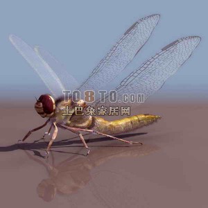 蜻蜓-动物303d模型下载