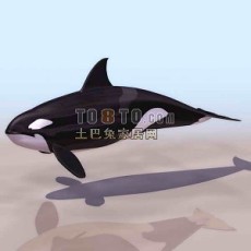 鲸鱼-动物203d模型下载