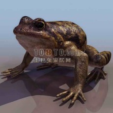 青蛙-动物素材23d模型下载
