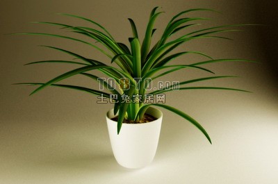 室内盆栽植物3d模型下载
