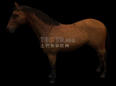 马3D模型-动物模型39-4套