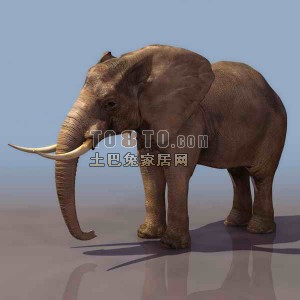 东南亚大象3d模型下载