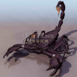 蝎子-动物113d模型下载