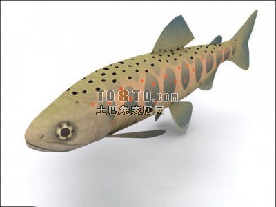 动物3D模型-鱼模型