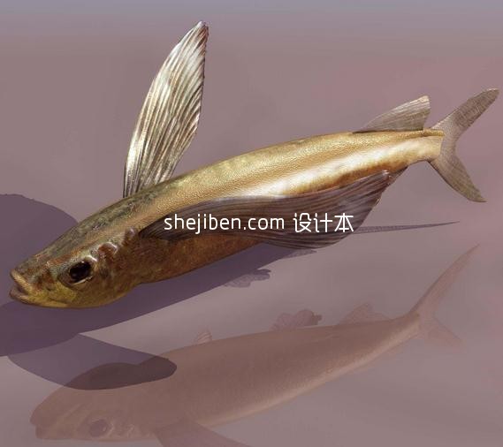 鱼-动物143d模型下载