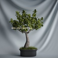 景观盆栽3d模型下载